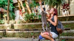 Бъди свободен, общувай без граници, докато пътуваш 