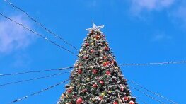 Български коледен негативизъм