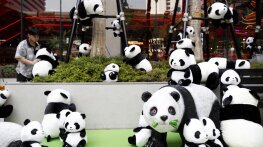 Бежанците от TikTok