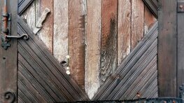 Кучетата си лаят…