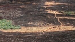 Политическото (не)доверие