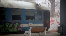 Бездомни души