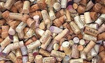 Новият Сух режим