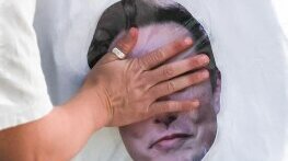 Джоузеф Стиглиц против Meta и X