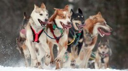 Атлас – Аляска