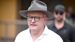 Относно: Антъни Албанезе