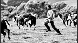 Истинският Форест Гъмп