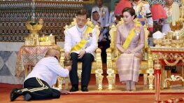 Мрежата на монархията