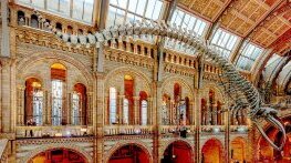 Атлас – Лондон