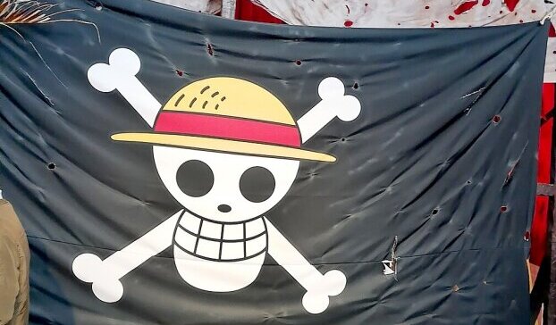 Усмихнатият череп на съпротивата