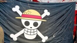 Усмихнатият череп на съпротивата