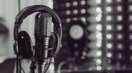 Хиляда гласа, една тишина: „Безмълвният албум“ и реформата за авторските права в полза на изкуствения интелект