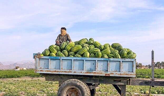 Последните издихания на режима