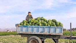 Последните издихания на режима