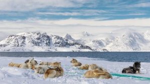 Невъзможният суверенитет