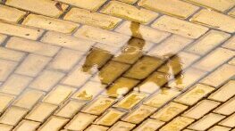 Жълтото паве и липсващият бранд на София